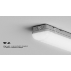 KORAK O 38W 4000K Ra80 T80 220V/Светильник LED IP65,1270x152x100мм (накладной) (БОСМА) СЕРЫЙ